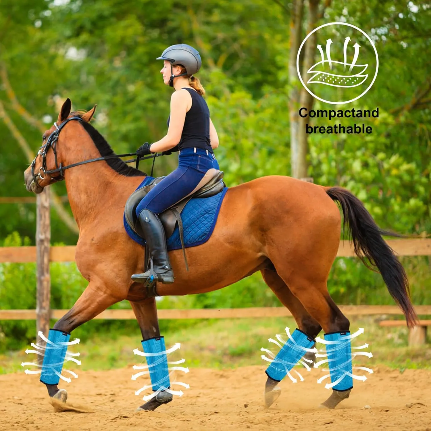Horse Fly Boots, Breathable Mesh Protection Set of 4, Comfortable Horse Leggings, Breathable Mesh Design, Equine Supplies for Reduce Stomping, Hoof Damage & Leg Fatigue (Blue, Medium)