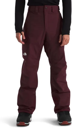 THE NORTH FACE Men's Freedom Snowpant - PFAS Free